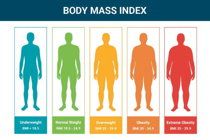 Cara cek berat badan ideal menggunakan kalkulator bmi